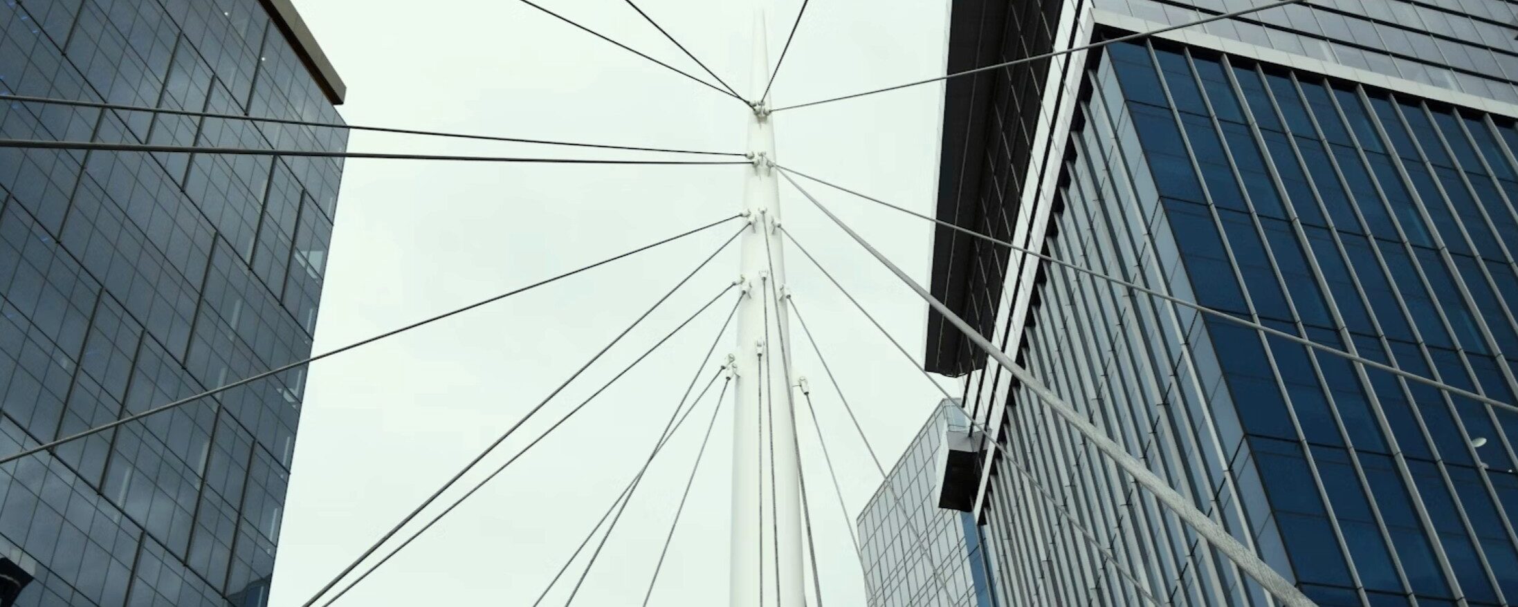 photo-1691807714620-2c540def3257-1