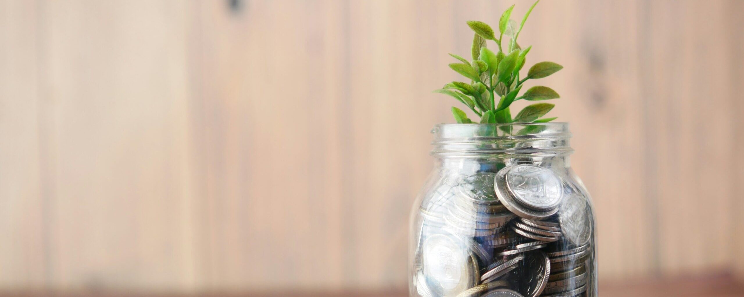 towfiqu-barbhuiya-joqWSI9u_XM-unsplash-scaled-1